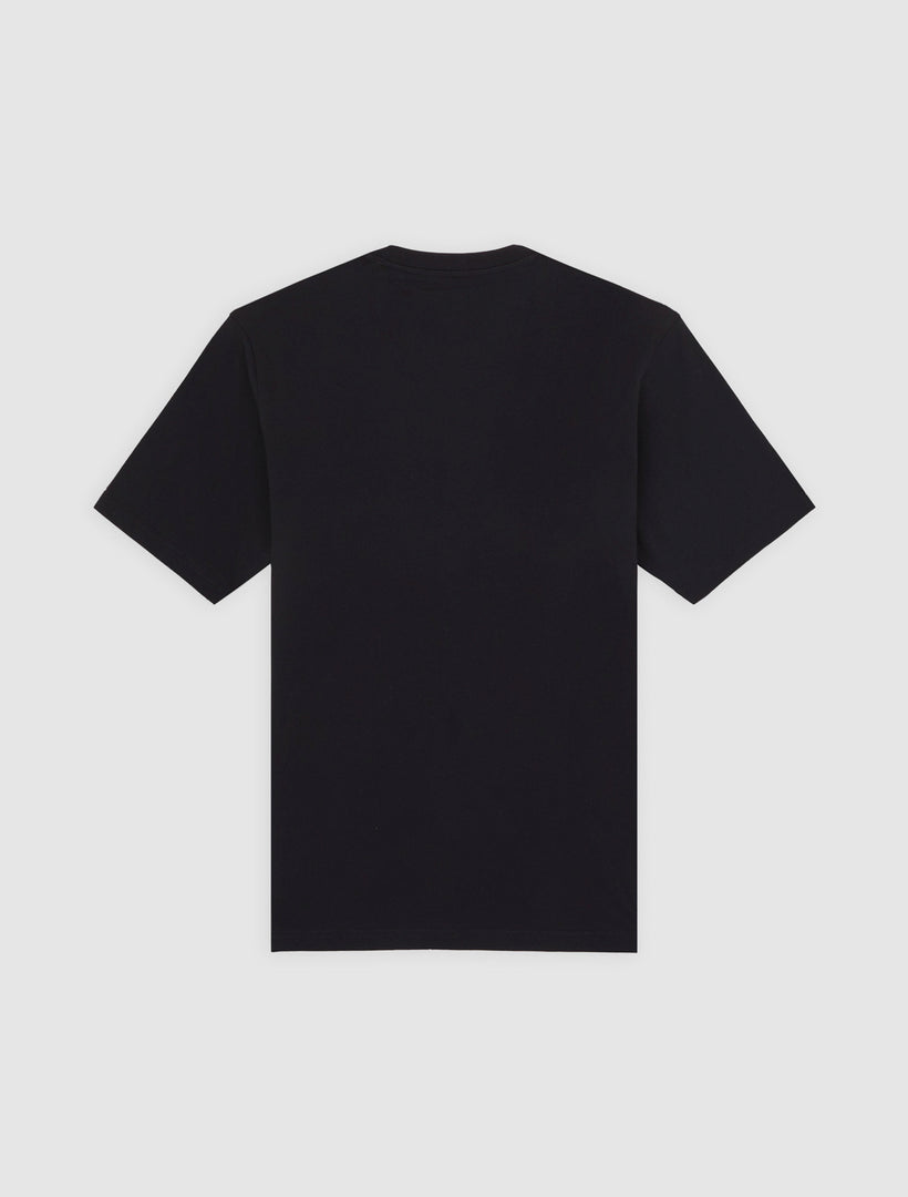 MAPLETON - T-SHIRT DK0A4XDB BLK1 DICKIES 