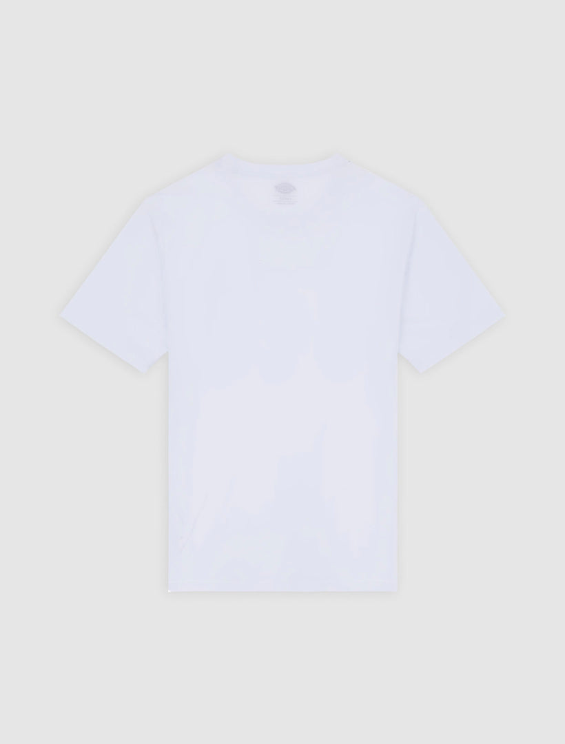 MAPLETON - T-SHIRT DK0A4XDB WHX1 DICKIES 