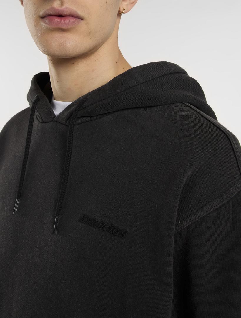 PLENTYWOOD - FELPA DK0A866D BLK1 DICKIES 
