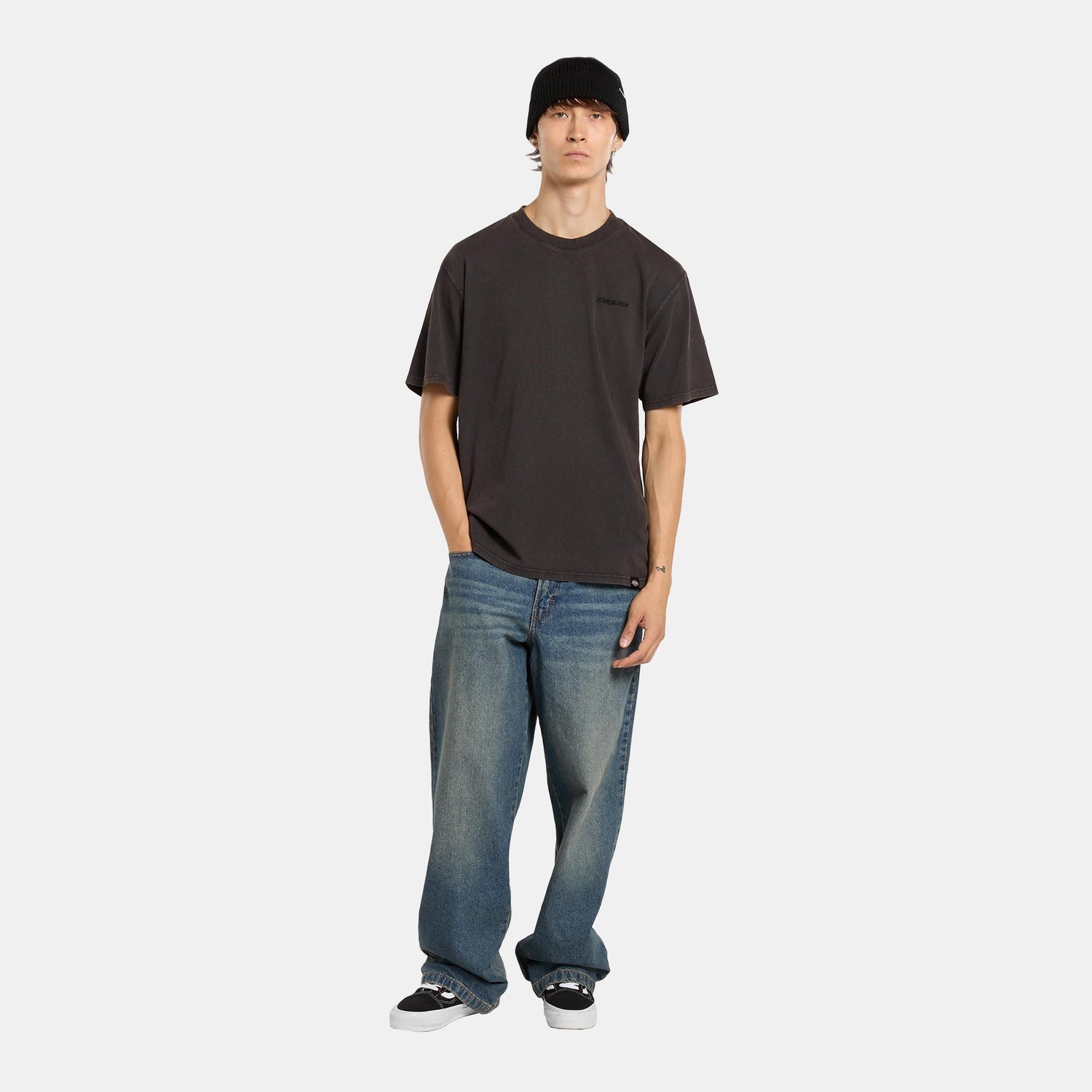 PLENTYWOOD - T-SHIRT DK0A866B H861 DICKIES 