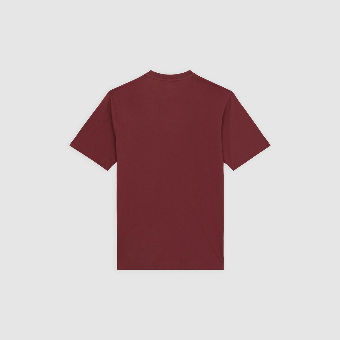 MAPLETON - T-SHIRT DK0A4XDB L161 DICKIES