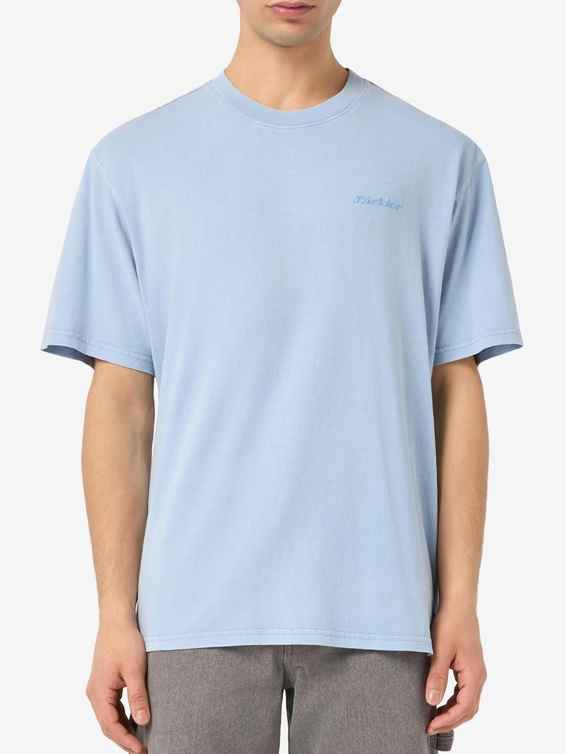 PLENTYWOOD - T-SHIRT DK0A866B L391 DICKIES 