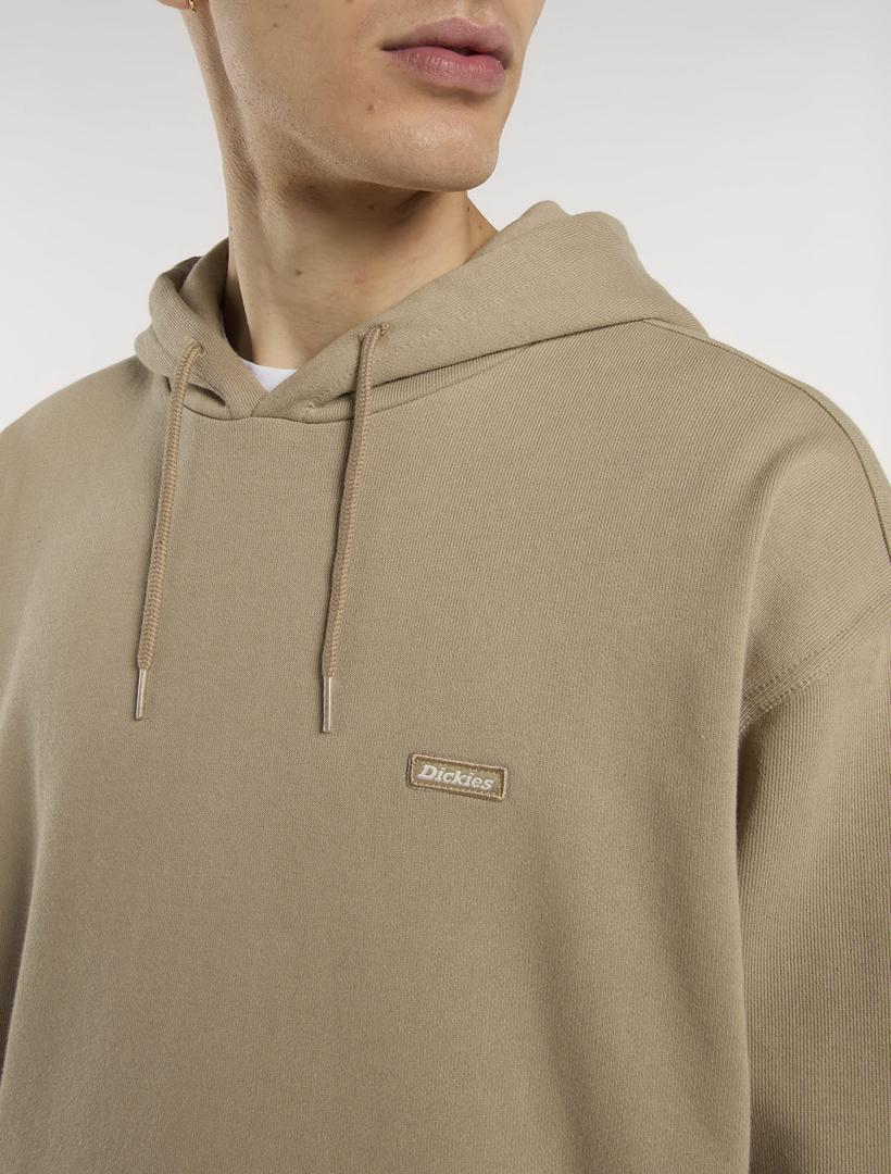 CLANCY HEAVYWEIGHT - FELPA DK0A87CJ 0DS1 DICKIES 