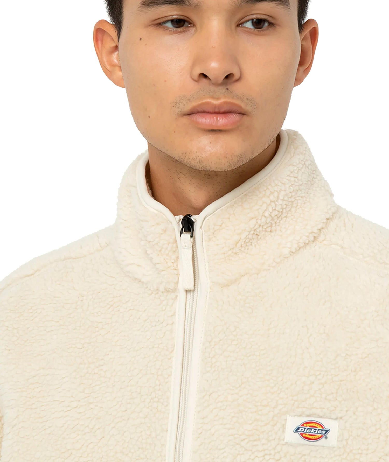 MOUNT HOPE - FELPA DK0A4YEE F901 DICKIES 