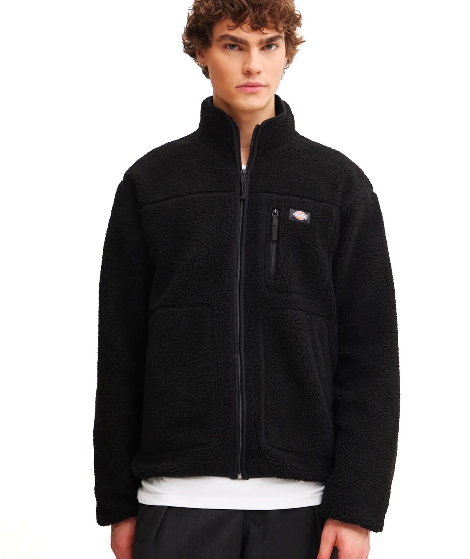 MOUNT HOPE - FELPA DK0A4YEE BLK1 DICKIES 