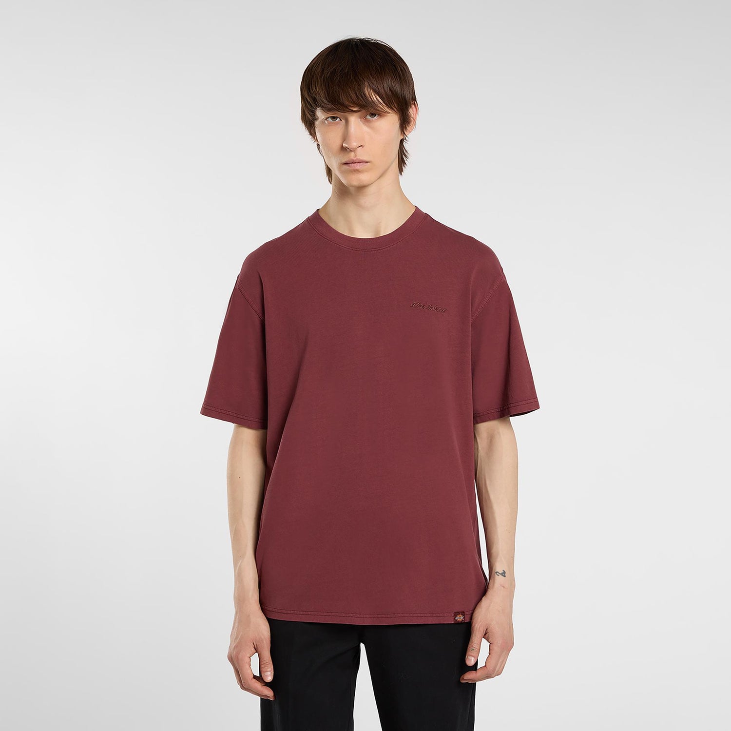 PLENTYWOOD - T-SHIRT DK0A866B L161 DICKIES 