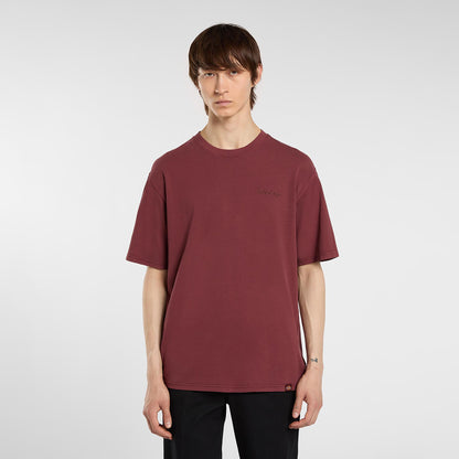 PLENTYWOOD - T-SHIRT DK0A866B L161 DICKIES 