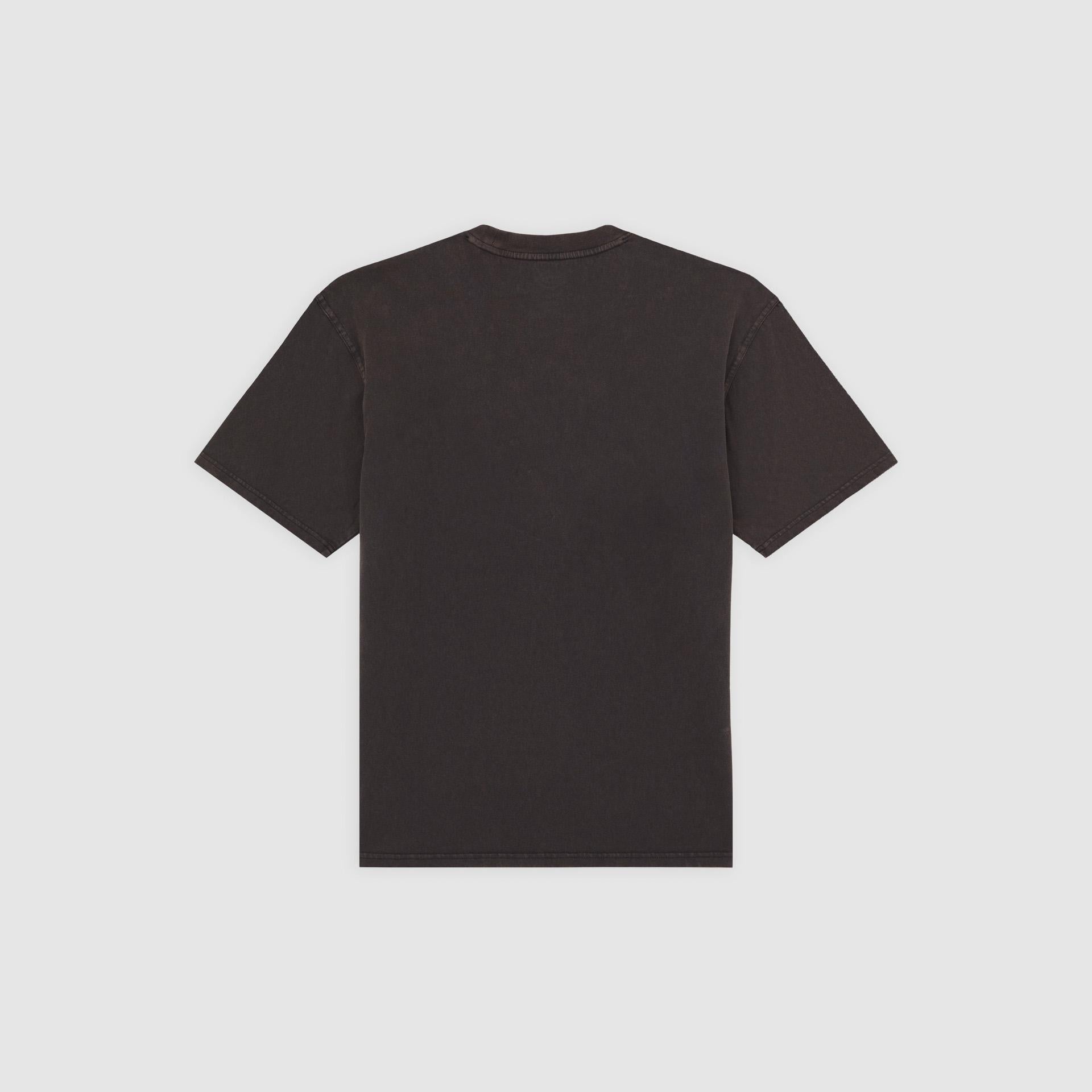 PLENTYWOOD - T-SHIRT DK0A866B H861 DICKIES 