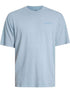 PLENTYWOOD - T-SHIRT DK0A866B L391 DICKIES 