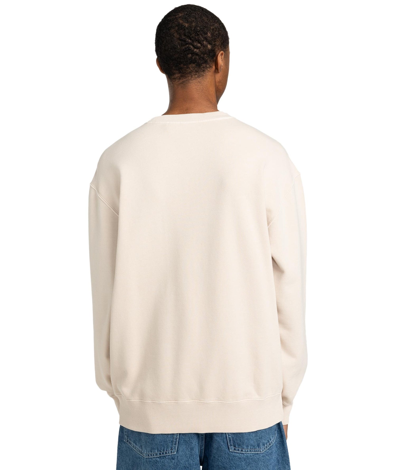 LOWCASE PIGMENT CR - FELPA ELYFT00188 -TEG0 ELEMENT 