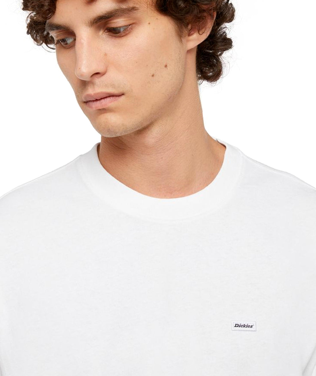 CLANCY HEAVYWEIGHT - T-SHIRT DK0A4Z4L 0WH1 DICKIES 