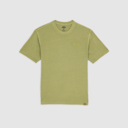 PLENTYWOOD - T-SHIRT DK0A866B L201 DICKIES 