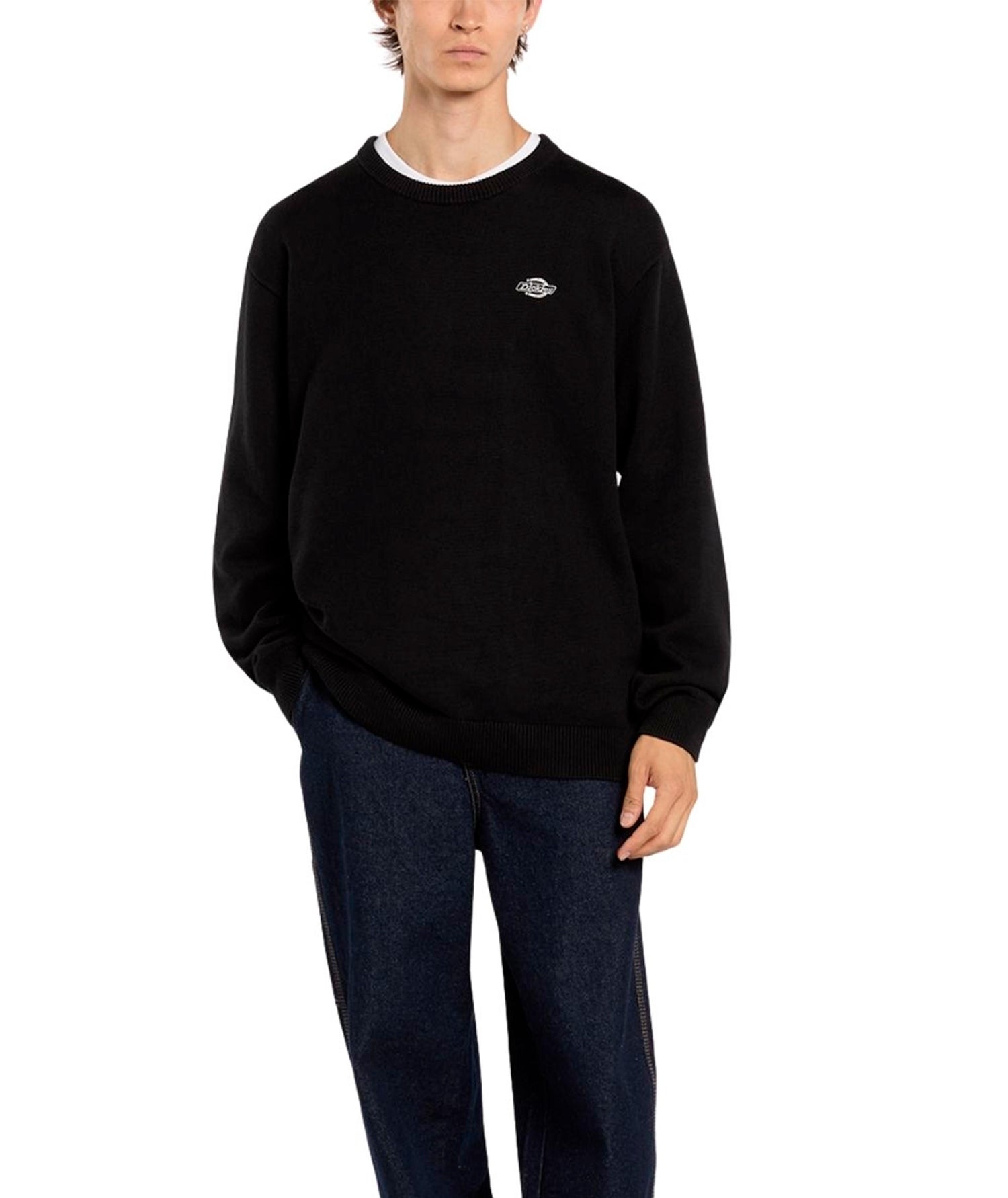 SUMMERDALE - MAGLIA DK0A87OP BLK1 DICKIES 