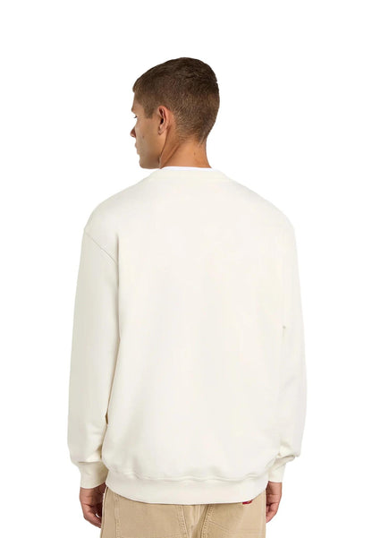 LORETTO - FELPA DK0A88OC ECR1 DICKIES 
