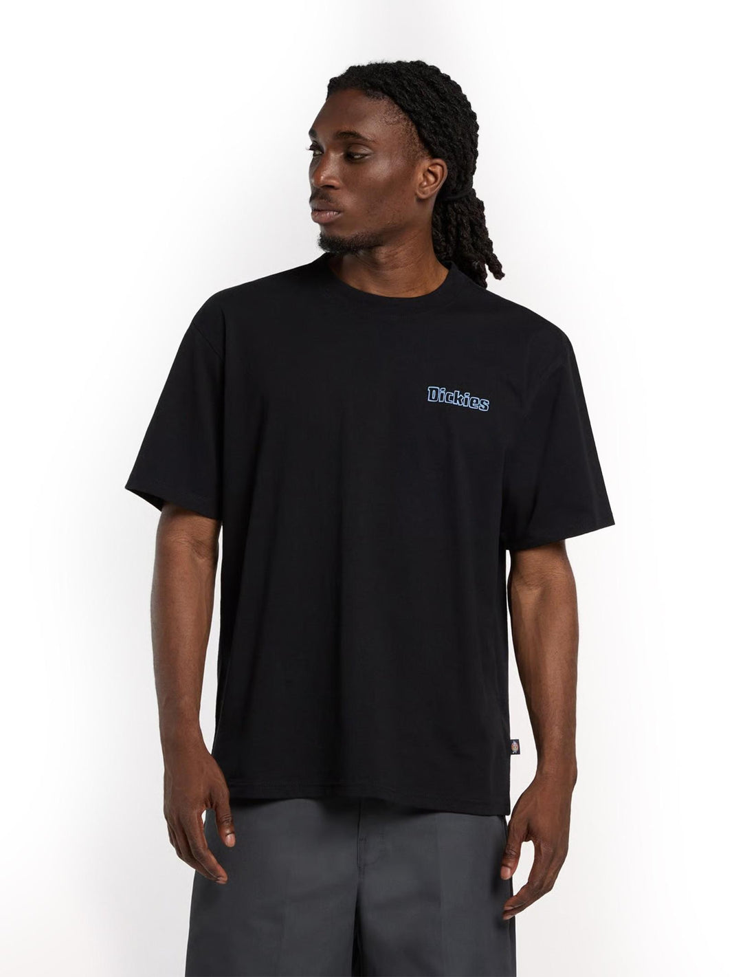 FAIRLAWN - T-SHIRT DK0A88GE BLK1 DICKIES 