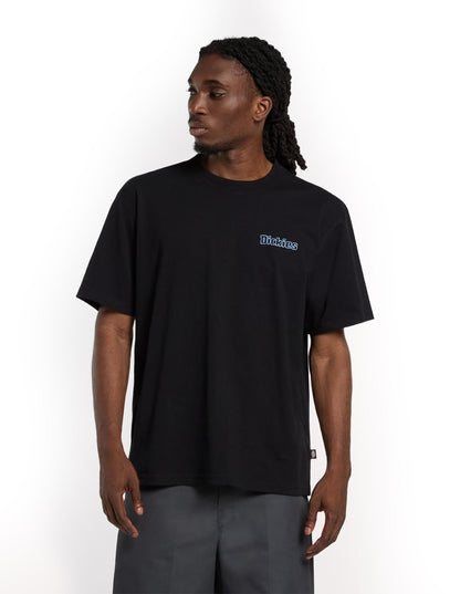 FAIRLAWN - T-SHIRT DK0A88GE BLK1 DICKIES 