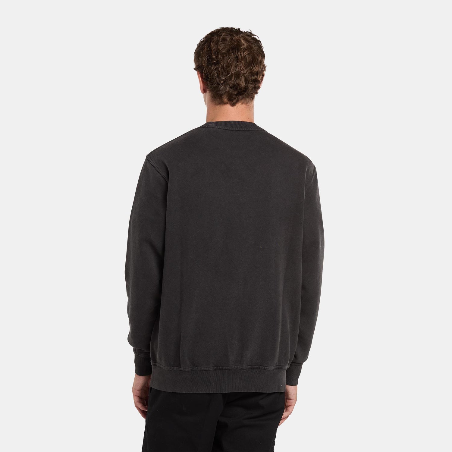 PLENTYWOOD - FELPA DK0A864H BLK1 DICKIES 