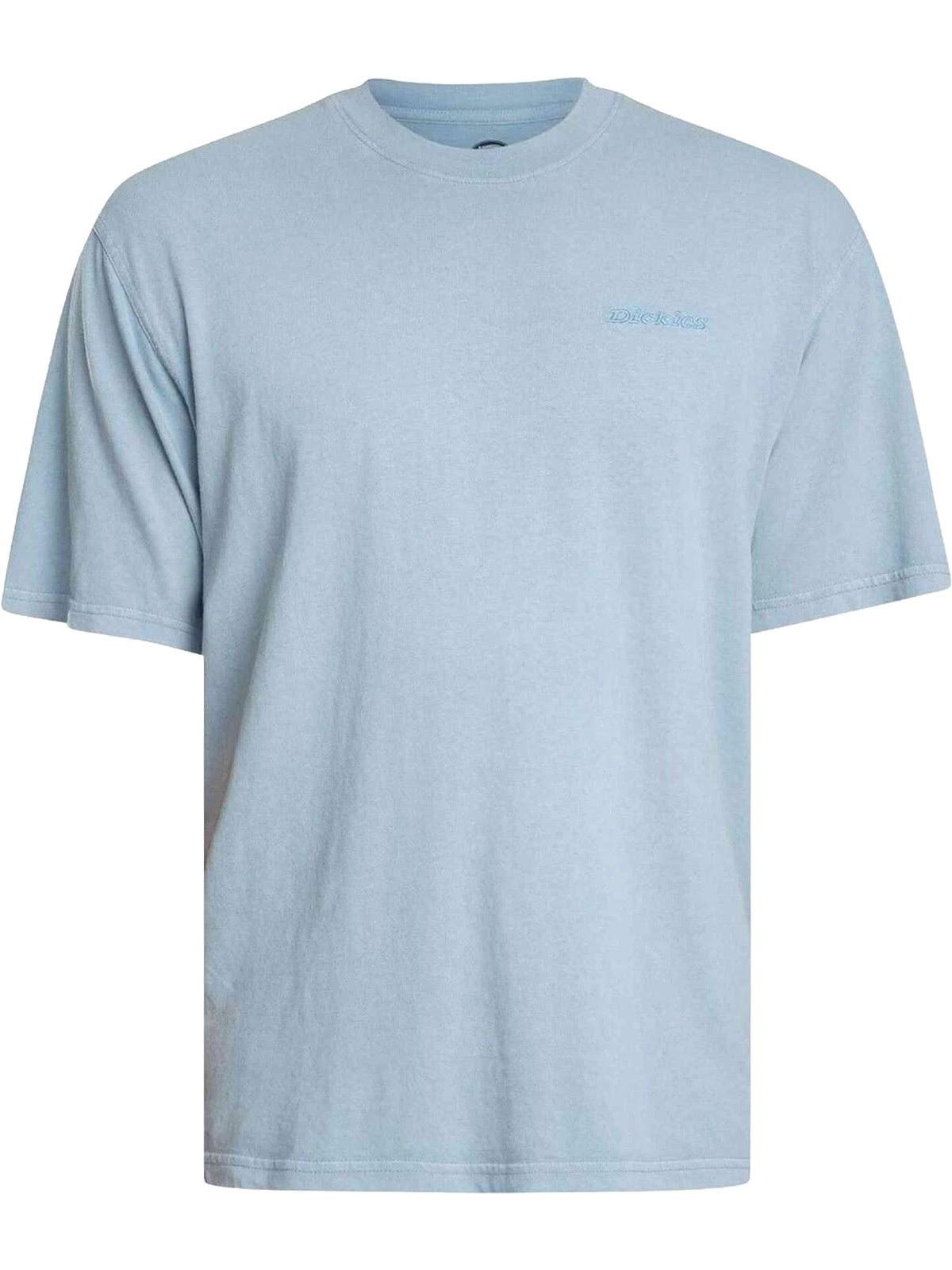 PLENTYWOOD - T-SHIRT DK0A866B L391 DICKIES 
