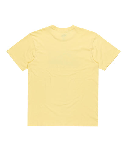 RETRO FADE - T-SHIRT EQYZT08058 -YEM0 QUIKSILVER 