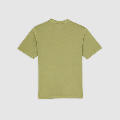 PLENTYWOOD - T-SHIRT DK0A866B L201 DICKIES 