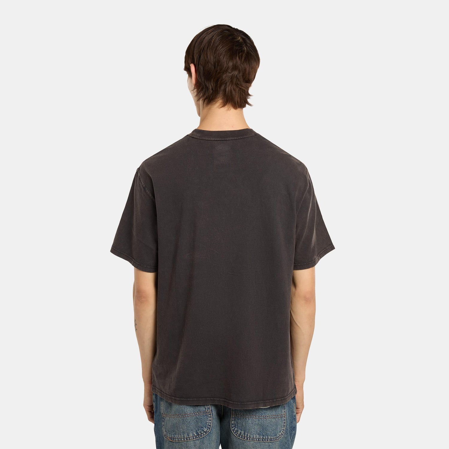 PLENTYWOOD - T-SHIRT DK0A866B H861 DICKIES 