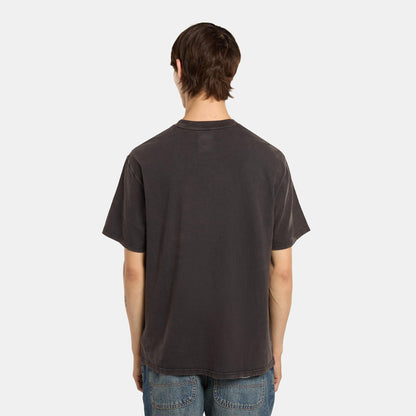 PLENTYWOOD - T-SHIRT DK0A866B H861 DICKIES 