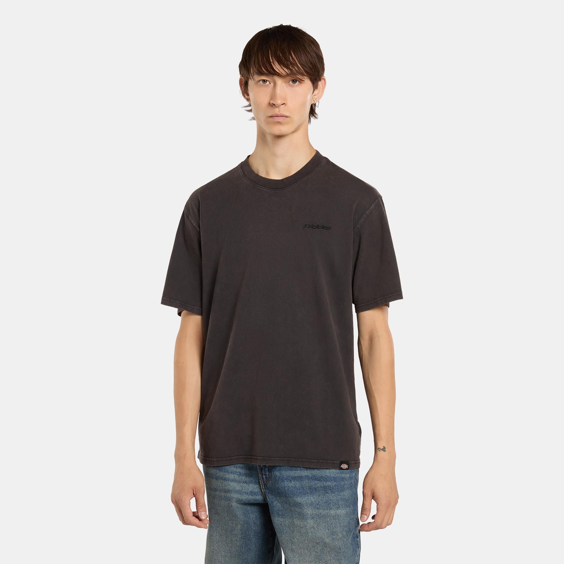PLENTYWOOD - T-SHIRT DK0A866B H861 DICKIES 
