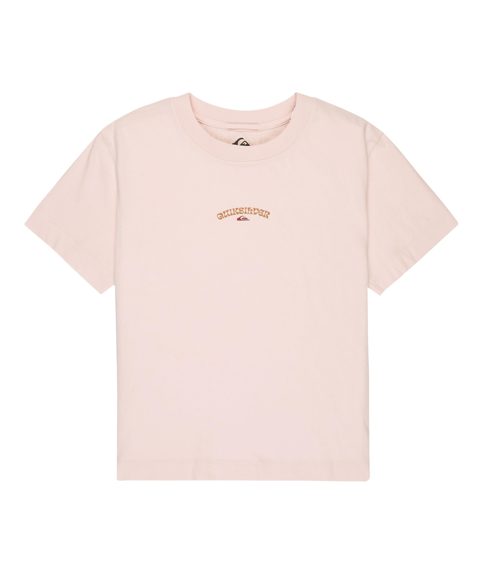 STANDARD - T-SHIRT EQWZT03209 -MCH0 QUIKSILVER 