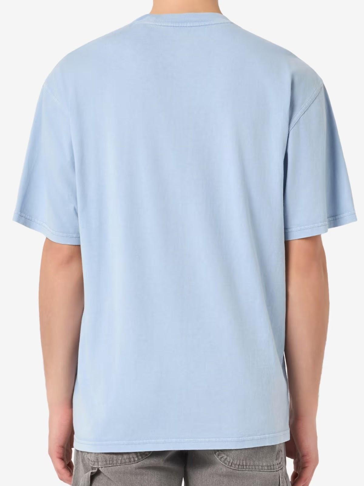 PLENTYWOOD - T-SHIRT DK0A866B L391 DICKIES 