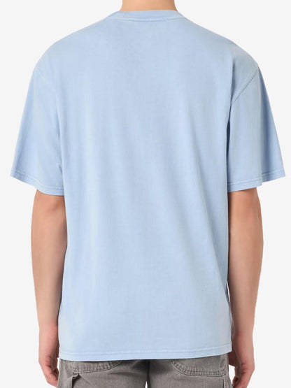 PLENTYWOOD - T-SHIRT DK0A866B L391 DICKIES 