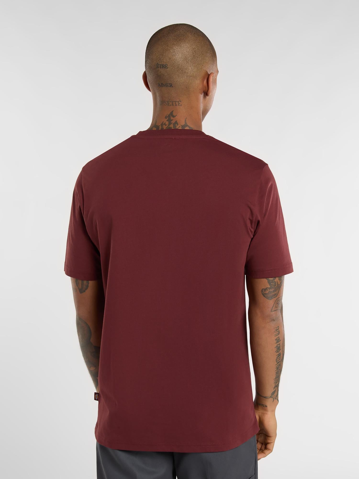 MAPLETON - T-SHIRT DK0A4XDB L161 DICKIES 