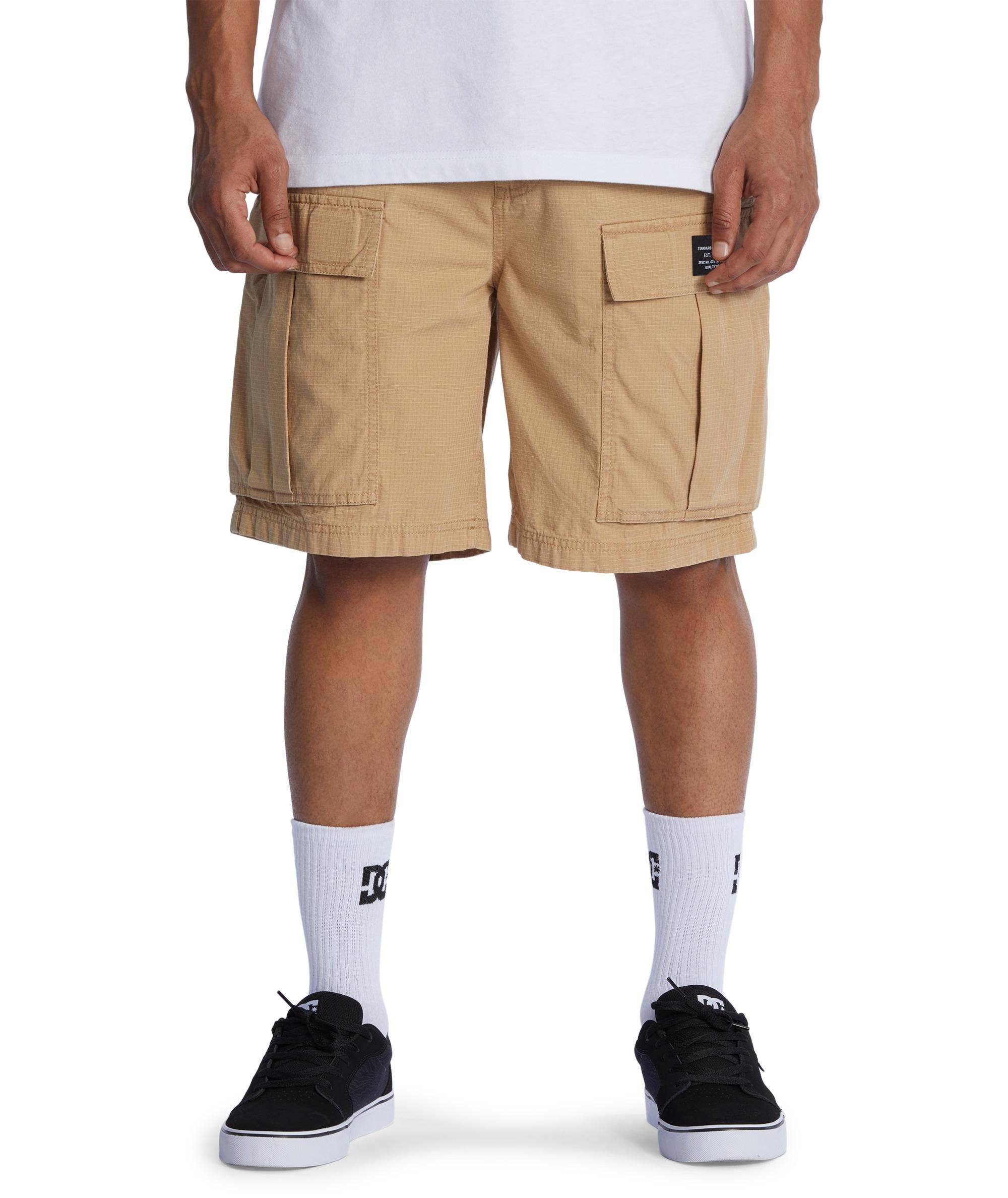 TUNDRA CARGO - SHORTS ADYWS03086 -CJZ0 DC 
