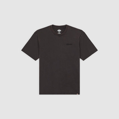 PLENTYWOOD - T-SHIRT DK0A866B H861 DICKIES 
