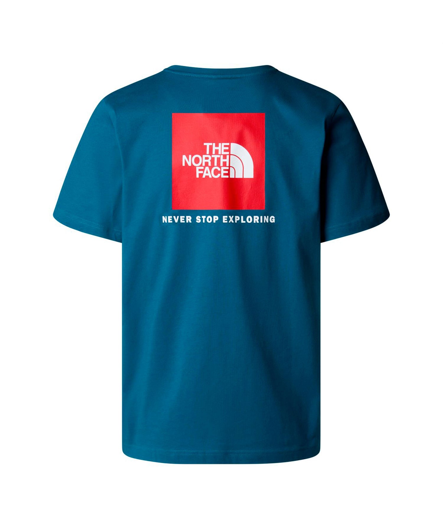 BOX NSE - T-SHIRT NF0A87NP F9T1 THE NORTH FACE 