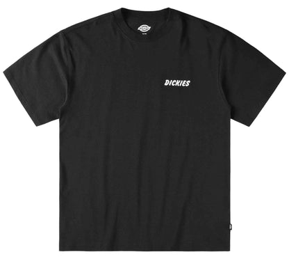 DRY RIDGE - T-SHIRT DK0A8853 BLK1 DICKIES 