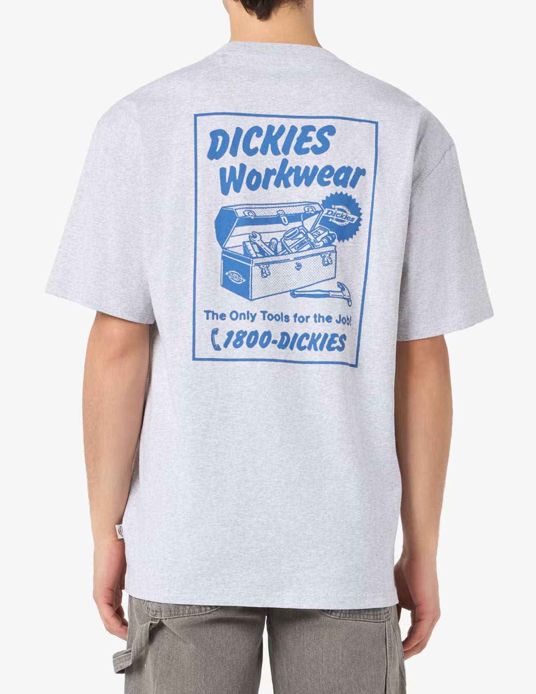 DRY RIDGE - T-SHIRT DK0A8853 A281 DICKIES 