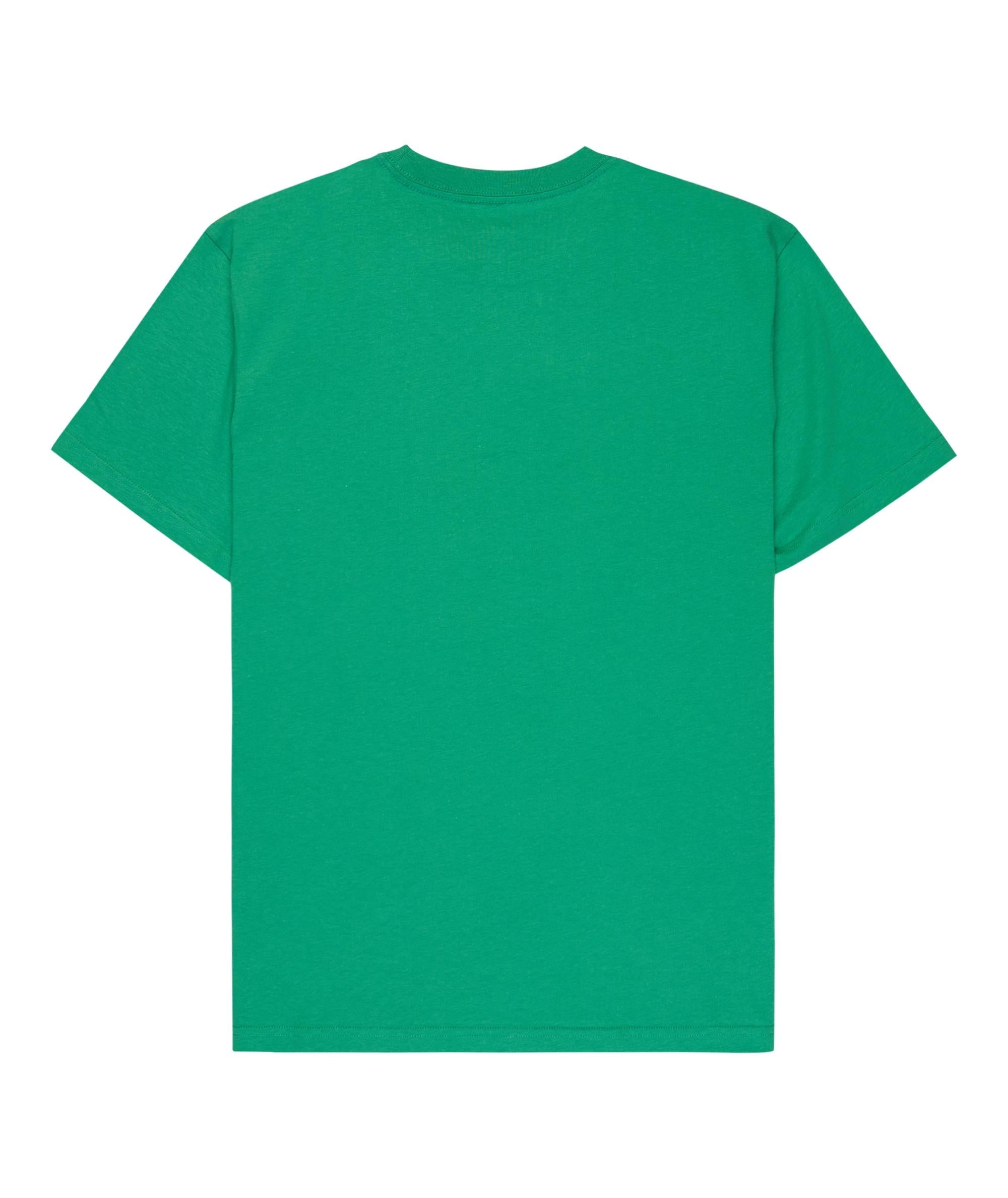 EV COMP LOGO - T-SHIRT EQYZT08182 -GNZ0 QUIKSILVER 