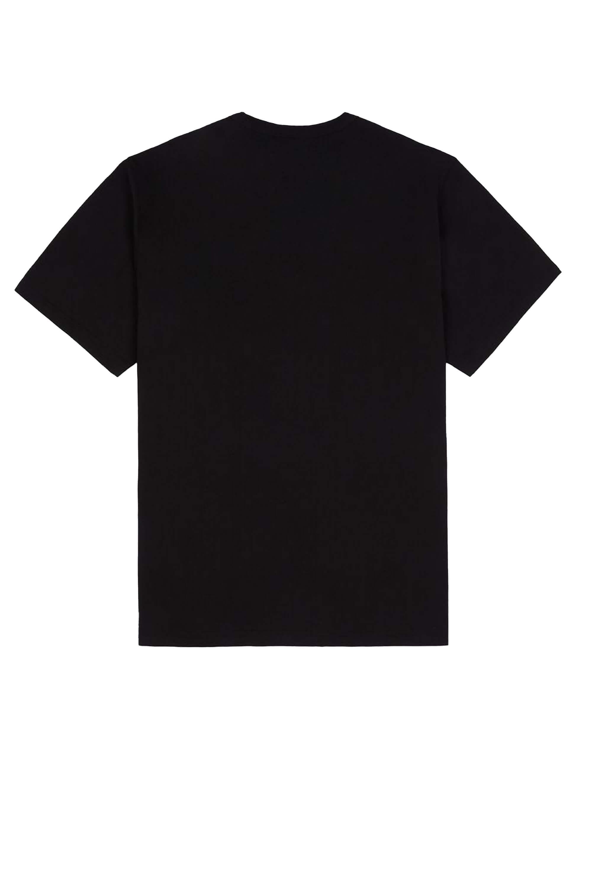 SUMMERDALE - T-SHIRT DK0A4YAI BLK1 DICKIES 
