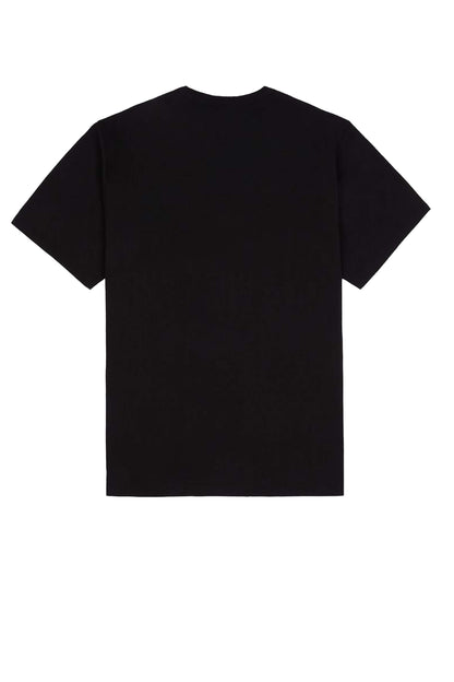 SUMMERDALE - T-SHIRT DK0A4YAI BLK1 DICKIES 