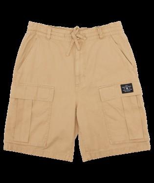 TUNDRA CARGO - SHORTS ADYWS03086 -CJZ0 DC 