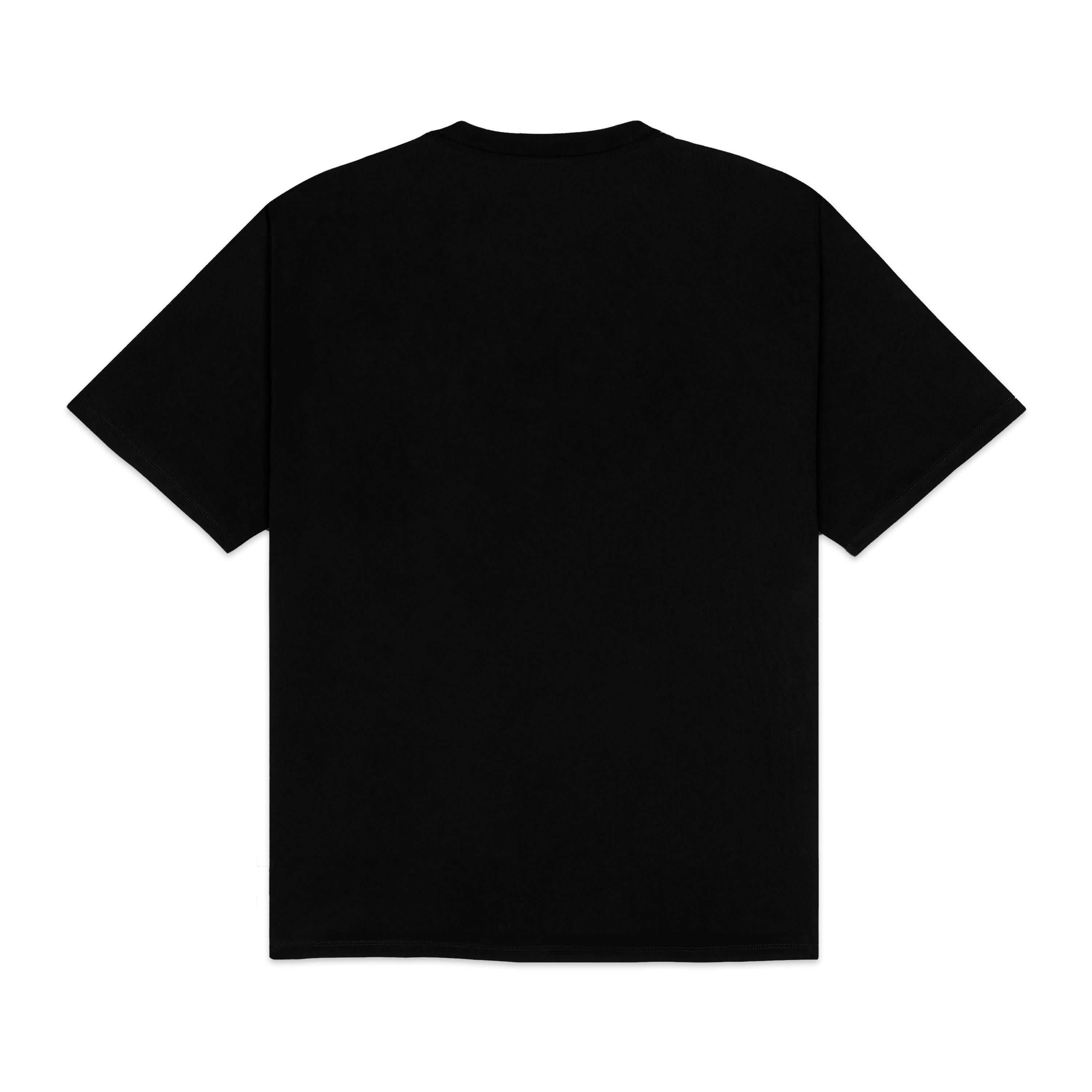 PARTITA DEL FANGO TEE - T-SHIRT TS1367-T4 -01 DOLLY NOIRE 