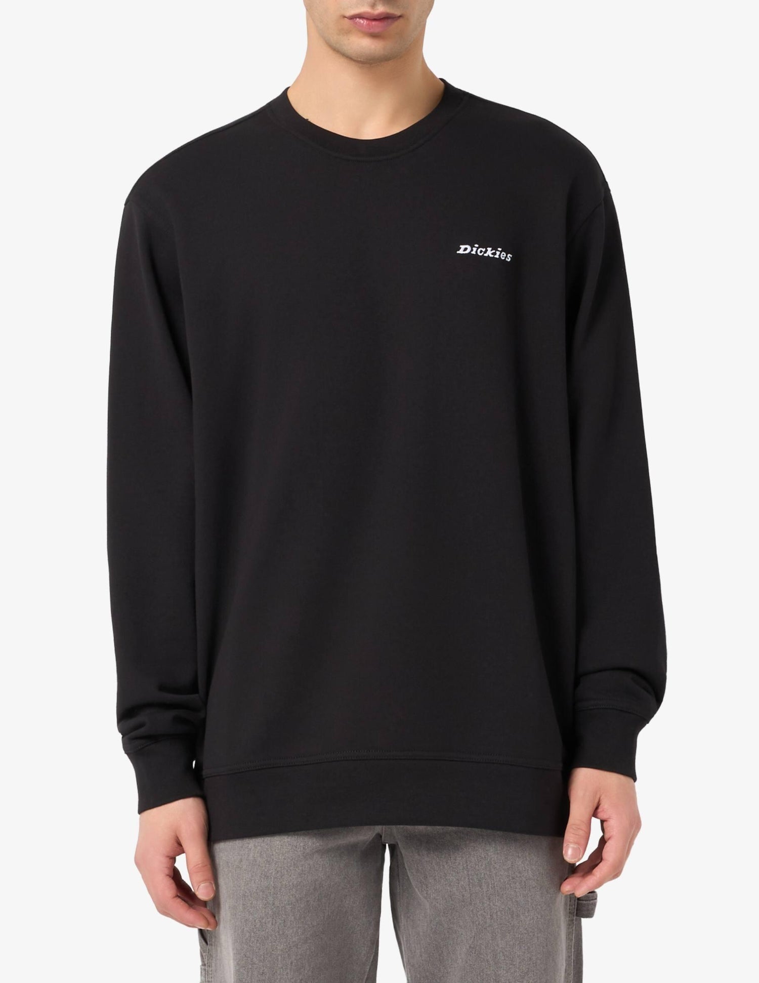 LORETTO - FELPA DK0A88OC BLK1 DICKIES 
