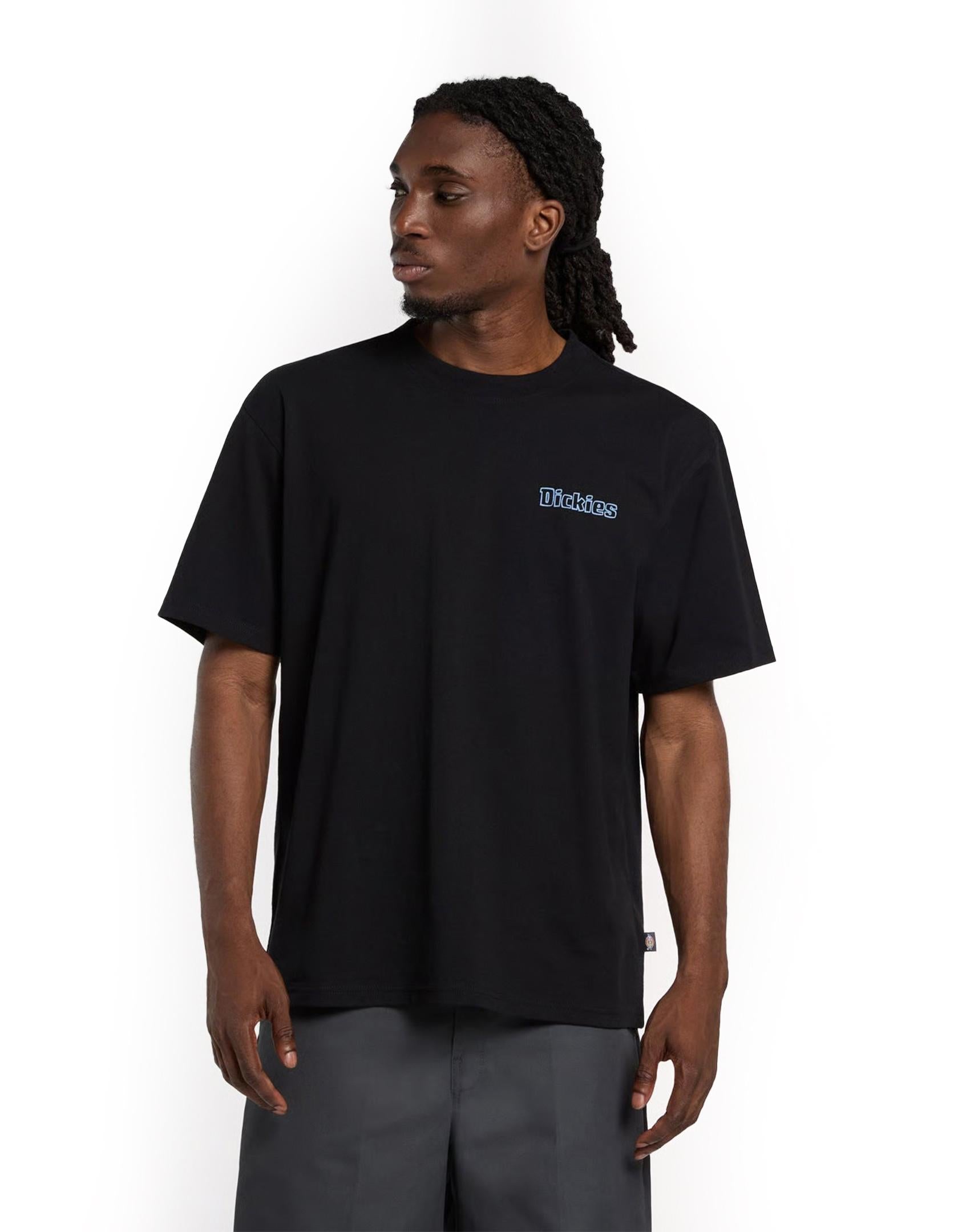 FAIRLAWN - T-SHIRT DK0A88GE BLK1 DICKIES 