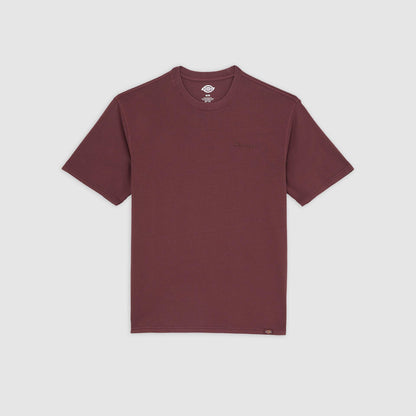 PLENTYWOOD - T-SHIRT DK0A866B L161 DICKIES 