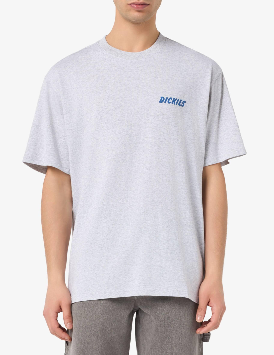 DRY RIDGE - T-SHIRT DK0A8853 A281 DICKIES 