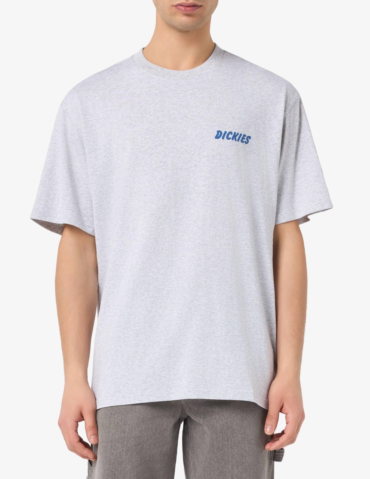 DRY RIDGE - T-SHIRT DK0A8853 A281 DICKIES 