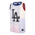 BASKET COLOR STRIPED GRAFTON LOS ANGELES DODGERS - CANOTTA 47-BB012PMFIGY576740 WW 47 BRAND 
