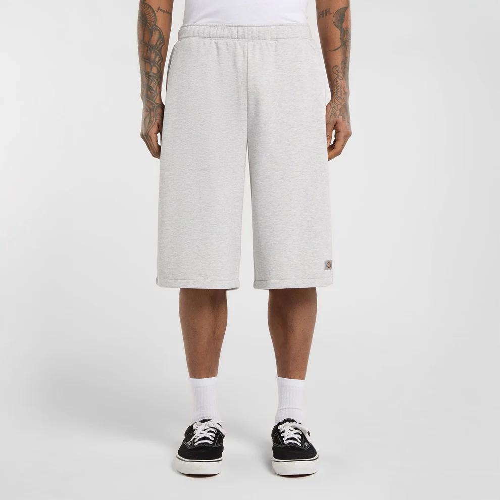STREETSBORO 13 INCH - SHORTS DK0A885B A281 DICKIES 