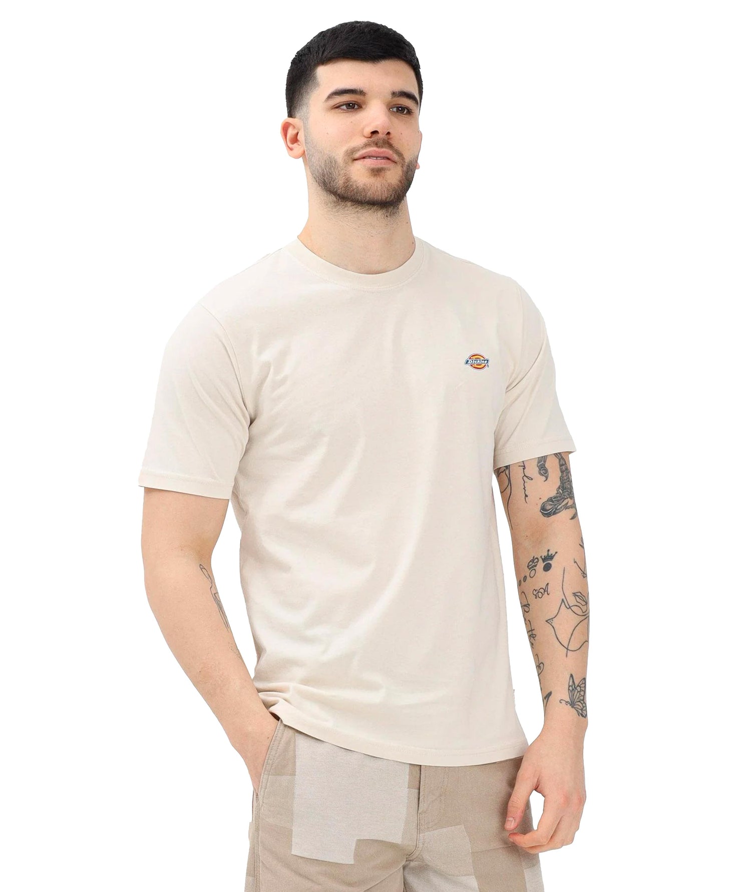 MAPLETON - T-SHIRT DK0A4XDB F901 DICKIES 