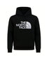 DREW PEAK PULLOVER - FELPA NF0A89EM JK31 THE NORTH FACE 